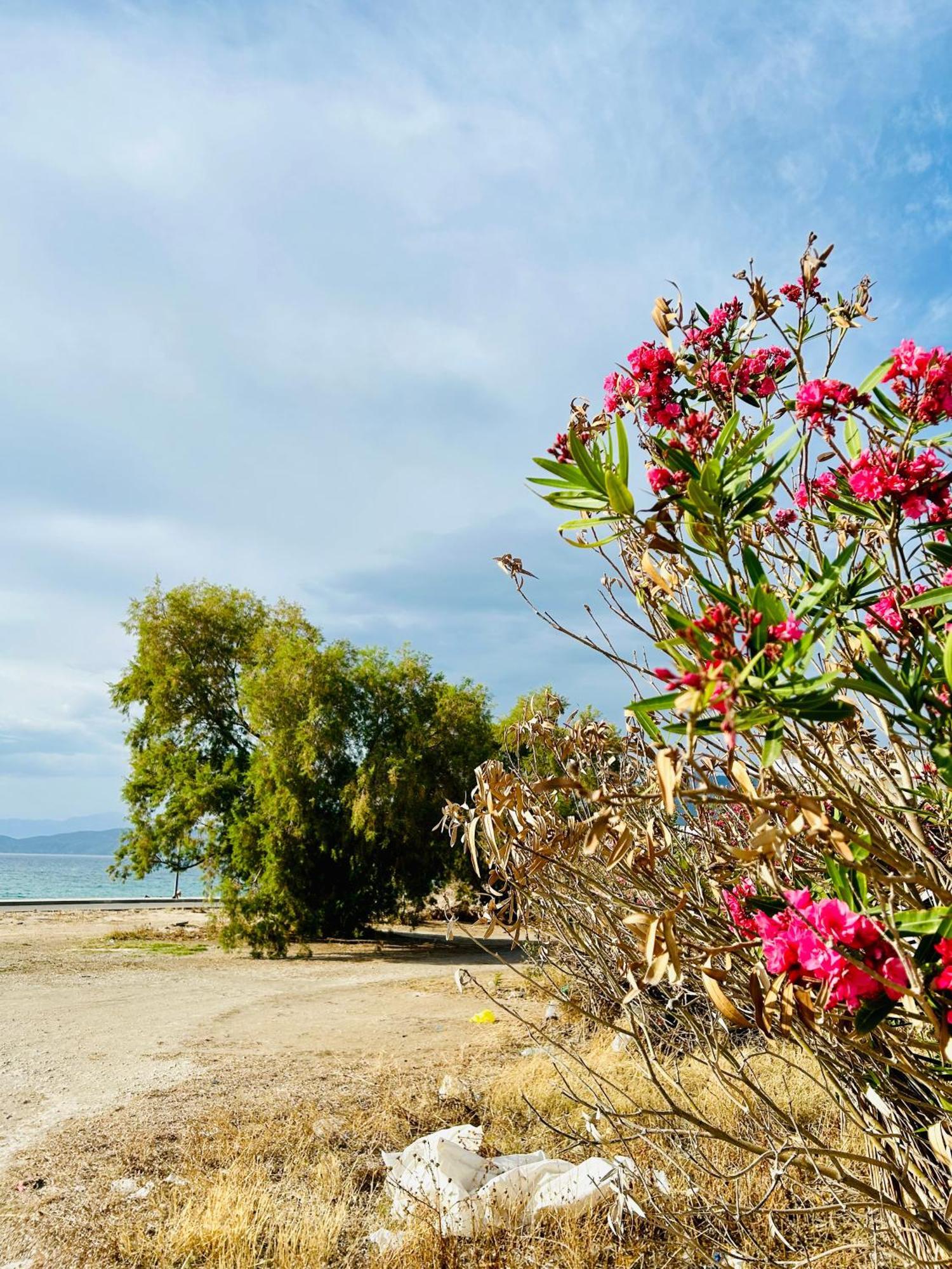 Marina'S Seacret Apartment Corinth Dış mekan fotoğraf